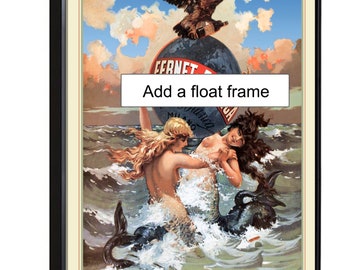 float frame 28x40 supplement