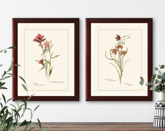 Vintage wildflower botanical illustrations set of 2 natural history prints #3-1, giclee art print