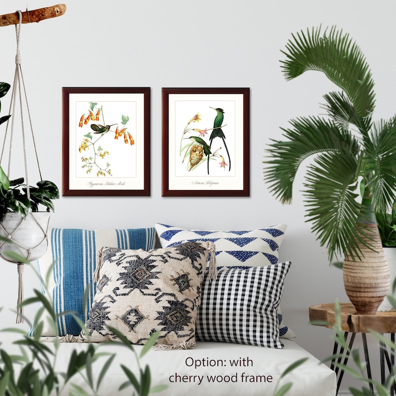 Hummingbirds french vintage illustration set of 2 giclee art print #1-2 natural history prints