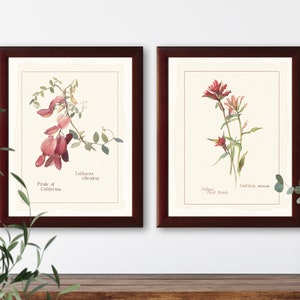 Vintage botanische illustraties met wilde bloemen, set van 2 natuurhistorische prints #2-1, giclee-kunstprint