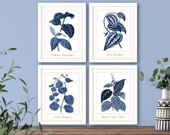 Indigo blau Französisch botanische Illustrationen Set von 4 Hamptons Stil "Blaue Blätter" #1 Giclée Kunstdrucke