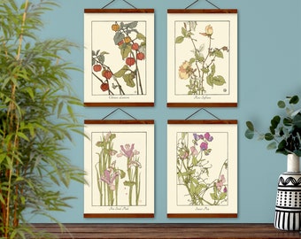 May include: Four botanical prints with illustrations of Chinese Lantern, Rose Syriana, Iris Pseudacorus, and Sweet Pea. Each print has a white background with brown text and a brown wooden frame.