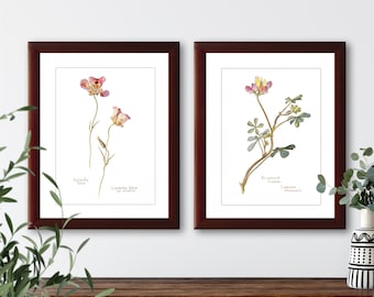 Vintage wildflower botanical illustrations set of 2 natural history prints #4-1, giclee art print