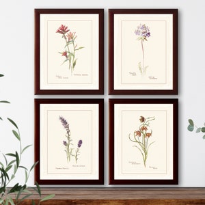 Vintage botanische illustratie Set van 4 natuurhistorische prints bloemen #3, gicleekunstprint