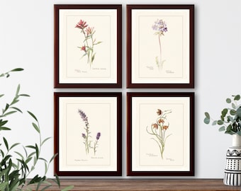 May include: Set of four framed botanical prints featuring watercolor illustrations of wildflowers. The prints are in a rustic brown frame and feature the scientific names of each flower.