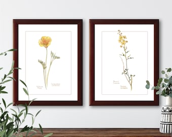 Vintage wildflower botanical illustrations set of 2 natural history prints #4-2, giclee art print