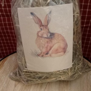 May include: A clear plastic bag filled with dried grass hay, with a small card inside featuring a watercolor illustration of a brown rabbit sitting on a white background.