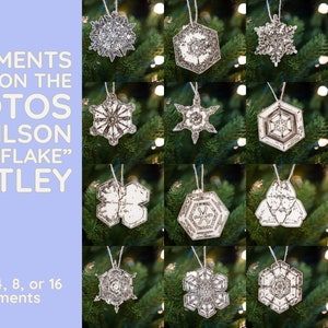 Lot de 3, 8 ou 16 décorations de flocon de neige - Images de vrais flocons de neige sur bois Collection de décorations de Noël pour les fêtes de Wilson Bentley Photographer