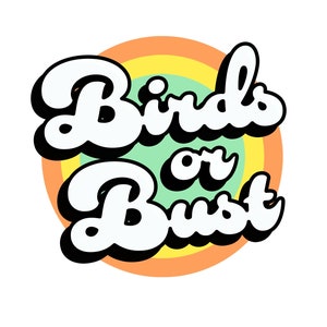 Adesivo in vinile originale grande "Birds or Bust" Retro 3 "