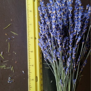 Fresh Dried Lavender Bunches Sustainably Grown the brightest purple culinary lavender