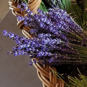Lavender Bunches Fresh Dried Sustainably Grown Bright Purple  Beautiful Smells Wonderful Royal Velvet, The Culinary One. Just picked July 15