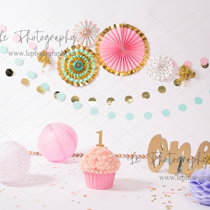 Baby girl birthday digital backdrops, One Year Birthday, birthday backdrop, digital background, first birthday, cake smash backdrop