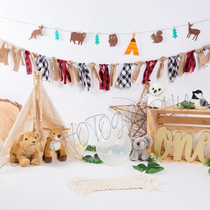 Baby birthday digital backdrops, One Year Birthday, birthday backdrop, digital background, cake smash backdrop, farm theme backdrop