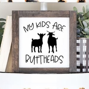 May include: A white tiered tray with a wooden sign that reads "My kids are buttheads" with a silhouette of two goats. The sign is on the middle tier of the tray. The top tier has a white ceramic dish with a string of wooden beads. The bottom tier has a black and white checkered planter with a green succulent plant.