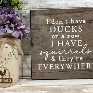 I Don't Have Ducks Squirrels Everywhere Wood Sign, Motivational Quote Sign, Divorce Gift, Funny Life Chaos, Crazy Family Sign, Office Humor