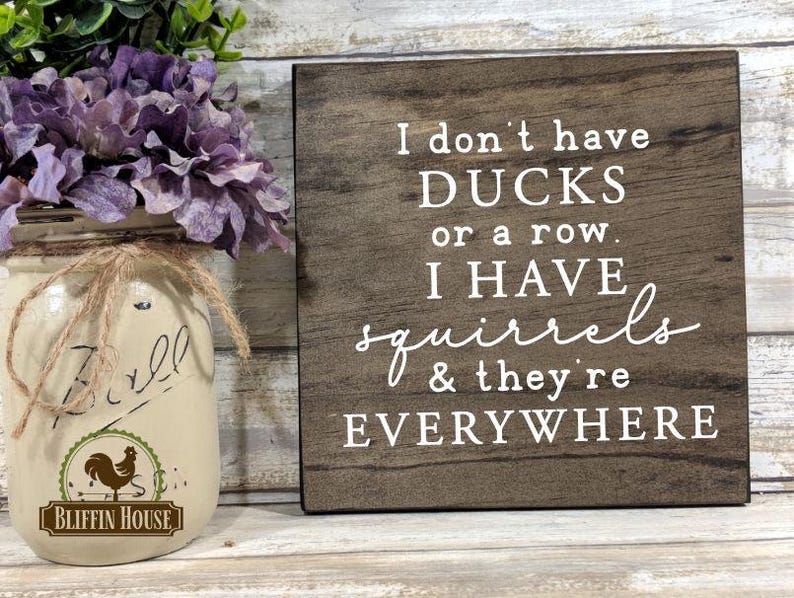 I Don't Have Ducks Squirrels Everywhere Wood Sign, Motivational Quote Sign, Divorce Gift, Funny Life Chaos, Crazy Family Sign, Office Humor