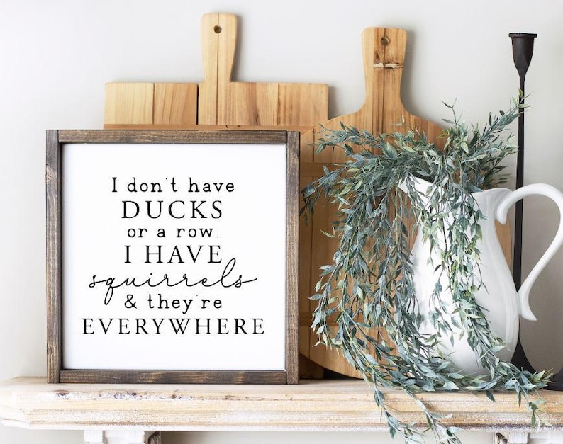 I Don't Have Ducks Squirrels Everywhere Wood Sign, Motivational Quote Sign, Divorce Gift, Funny Life Chaos, Crazy Family Sign, Office Humor