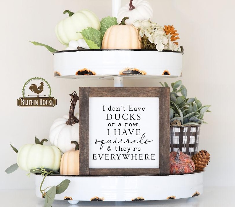I Don't Have Ducks Squirrels Everywhere Wood Sign, Motivational Quote Sign, Divorce Gift, Funny Life Chaos, Crazy Family Sign, Office Humor