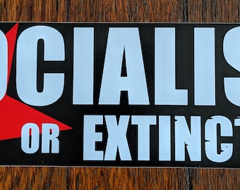 Vinyl Sticker: Socialism or Extinction｜Communist Socialist Marxist Climate Change Libertarian Punk Anarchist