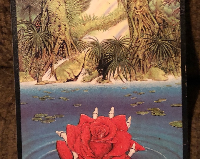 Rainforest Rose Vintage Grateful Dead stickers grateful dead store, grateful dead stickers, grateful stickers