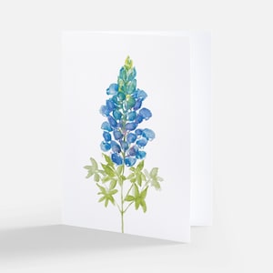 5 Texas Bluebonnet Greeting Cards, Flower Note Cards, 5 Bluebonnet Floral Cards,  Blank Inside, Envelopes Included, Gift