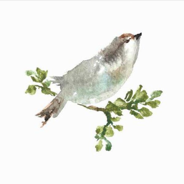 Gentle Sparrow Watercolor Note Cards: Set of 5 Blank Bird Greeting Cards