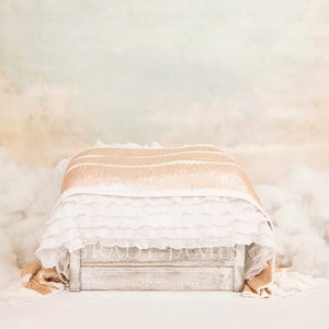 Newborn cloud digital background Newborn angel digital background