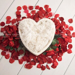 Valentine Red Roses nouveau-né arrière-plan numérique Saint-Valentin nouveau-né toile de fond numérique Fond numérique de la Saint-Valentin