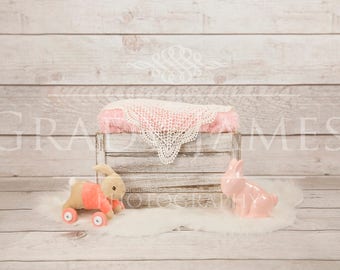 Newborn digital backdrop - Newborn digital background - Easter backdrop - Easter background - Newborn digital prop -Bunny digital background