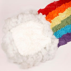 Rainbow baby newborn digital background Rainbow newborn digital backdrop Rainbow newborn digital prop