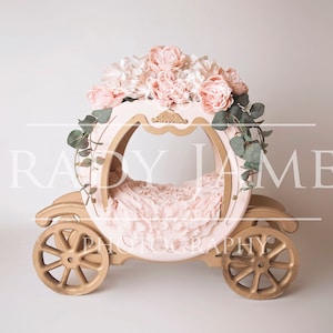Newborn digital princess carriage background newborn digital princess carriage prop