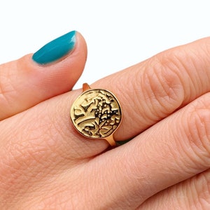 Medusa Coin Signet Rings, Yellow or Rose Gold Vermeil 925 Silver Yellow Rose