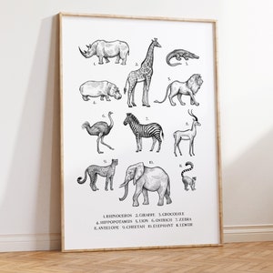 Safari Animal Nursery Print, Jungle Animal Wall Art, Animal Chart, Safari Nursery Decor, Boys Room Wall Art, Vinatge, Jungle Nursery