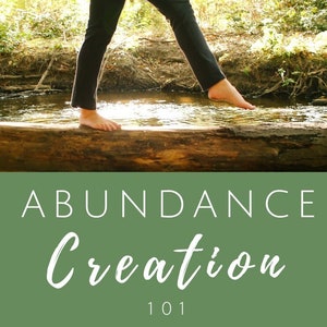 ABUNDANCE CREATION 101 - Wealth program mindset manifestation