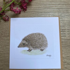 Handbemalte Karte, Igel Illustration, Original Kunstwerk, Niedliche Karte, Danke, Handgezeichnete Karte, Personalisiert