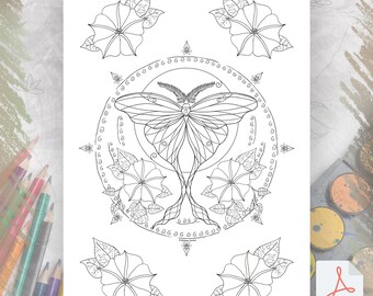Luna Moth Coloring Page | Spirit Animal Spiritual DIY | Printable Coloring Page | Book of Shadows | Art Witch Journal | Digital Download