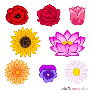 Clip art di fiori, clipart di fiori, fiori colorati, capolini, papavero, rosa, tulipano, girasole, loto, crisantemo, viola, margherita
