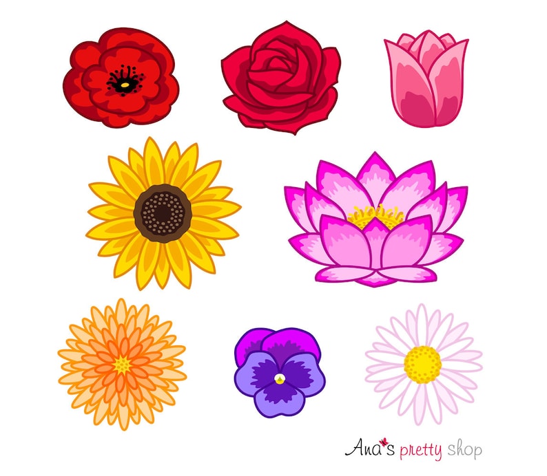 Flowers Clip Art, Flowers clipart, colorful flowers, flower heads, poppy, rose, tulip, sunflower, lotus, chrysanthemum, violet, daisy image 1