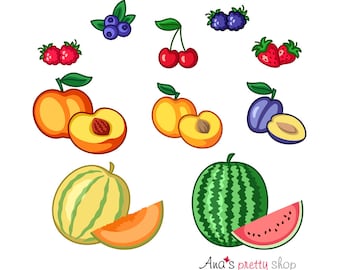 Clipart di frutta, illustrazione vettoriale di frutta, albicocca, mirtilli, ciliegie, melone, pesca, prugna, lamponi, fragole, anguria