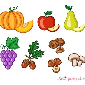 Autumn fruits clipart, pumpkin clipart, apple clipart, pear, grapes, acorn, walnut, hazelnuts clipart, mushrooms, autumn vector illustration