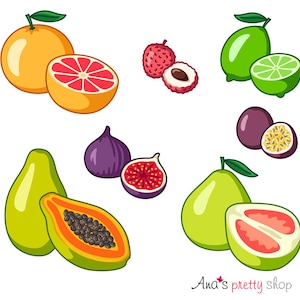 Imágenes prediseñadas de frutas exóticas, imágenes prediseñadas de pomelo, lima, papaya, pomelo, maracuyá, higo, lichis, ilustración vectorial de frutas tropicales