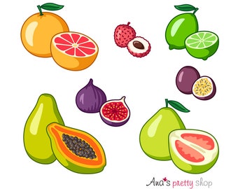 Clipart di frutti esotici, clipart di pompelmo, lime, papaya, pomelo, frutto della passione, maracuya, fico, litchi, illustrazione vettoriale di frutti tropicali