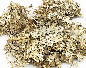 Dried Organic Iceland Moss / Available from 2oz-32oz / Cetraria islandica