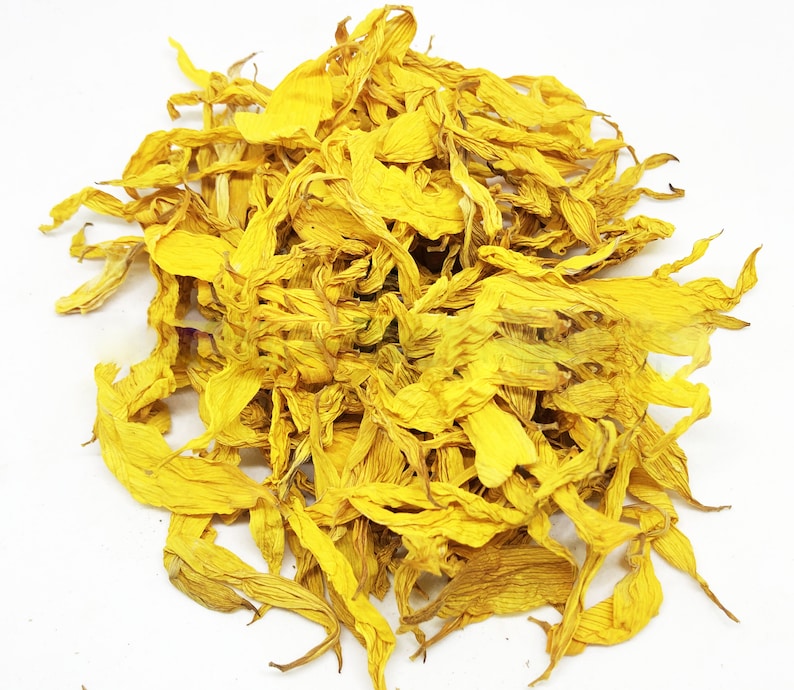 Organic Dried Sunflower petals / Available 2oz-32oz 57g-907g / Best Quality / Helianthus petals image 1