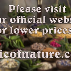 Organic Dried Sunflower petals / Available 2oz-32oz 57g-907g / Best Quality / Helianthus petals image 3