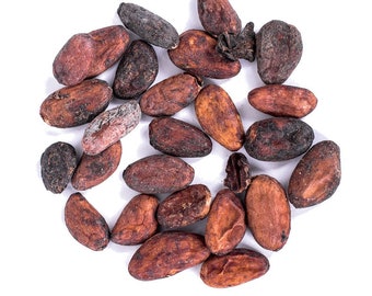 Organic Cocoa Seeds /  Available from 2oz-32oz / whole Cocoa Nibs For make Chocolate