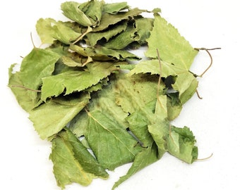 Dried Organic Birch Leaf / Available from 2oz-32oz (57-907g) / Betula pendula