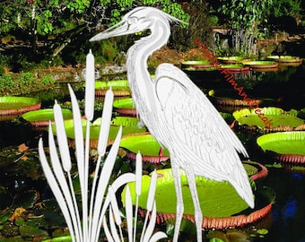 May include: A detailed illustration of a heron standing in a pond filled with lily pads. The heron is white with intricate line details. Cattails and lush greenery surround the bird, creating a serene nature scene.