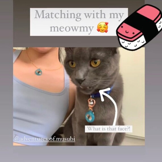Custom Pet Tag \u0026 Necklace for Your 