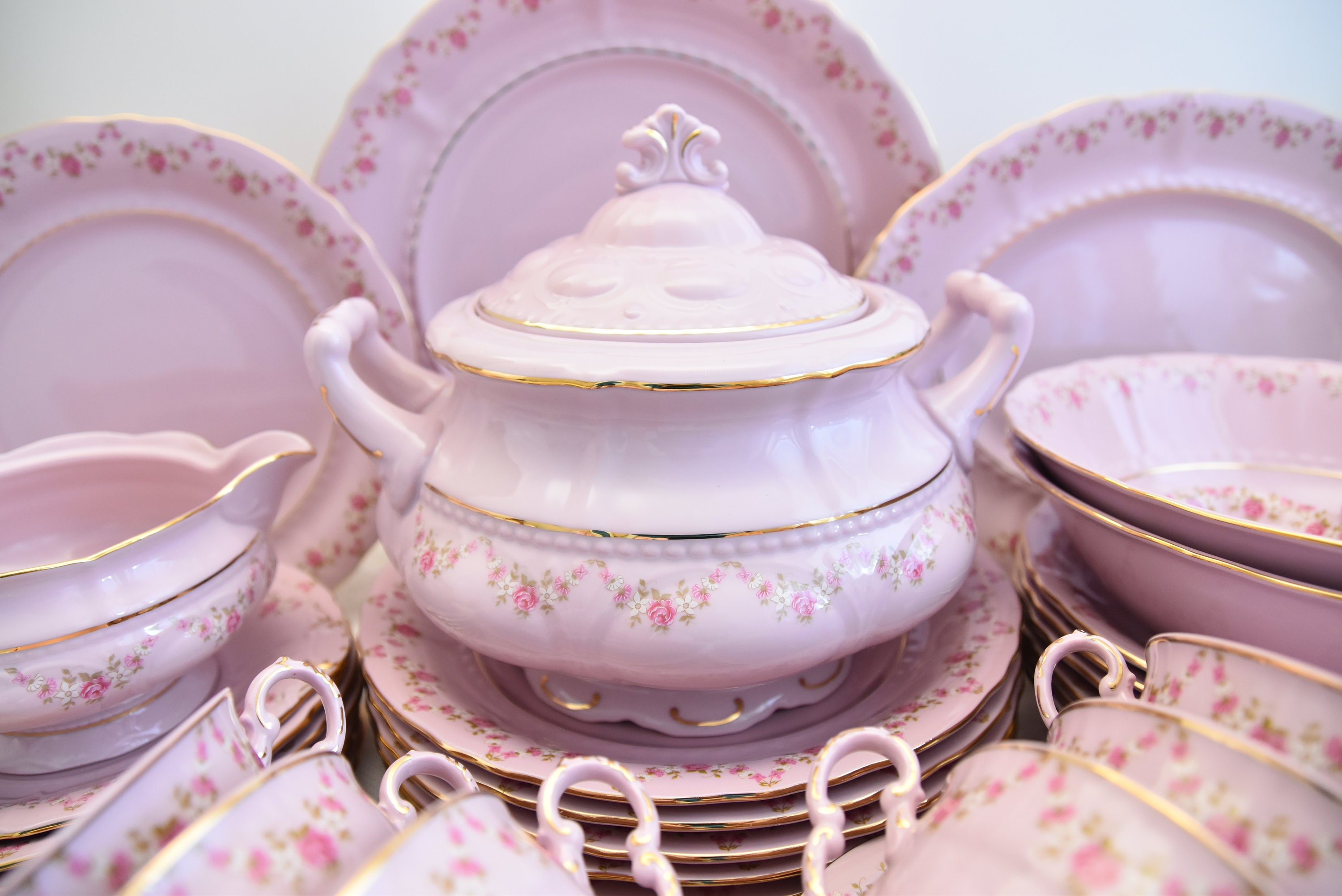 LL の伝統的なピンク色の磁器製ディナーセット (ブイヨン スープ